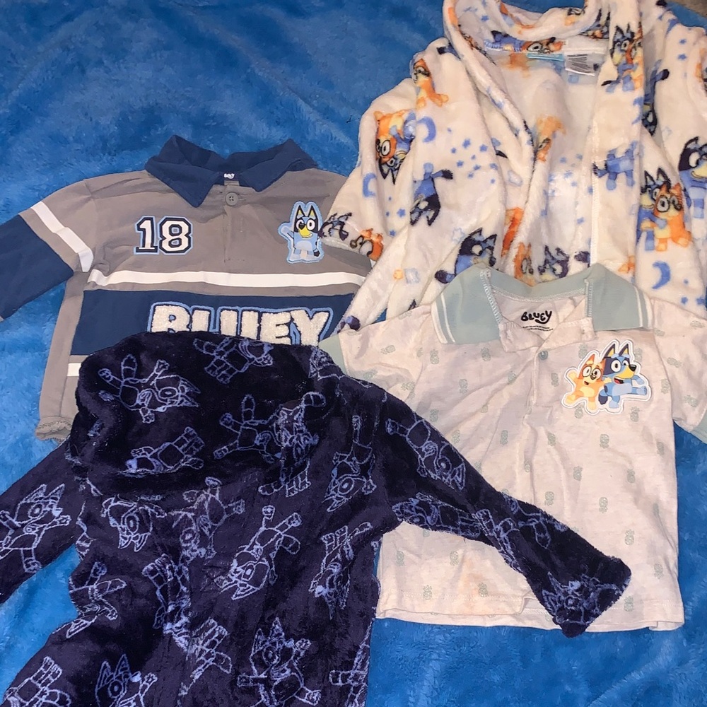 Bluey bundle